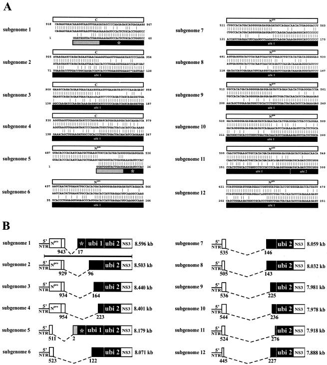 FIG. 6.