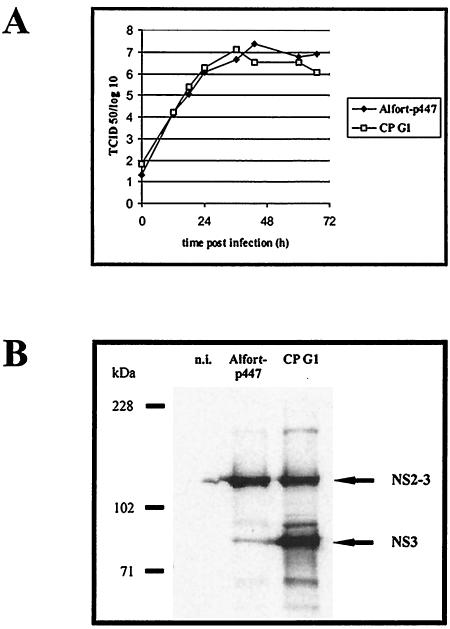 FIG. 4.