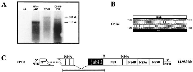 FIG. 5.