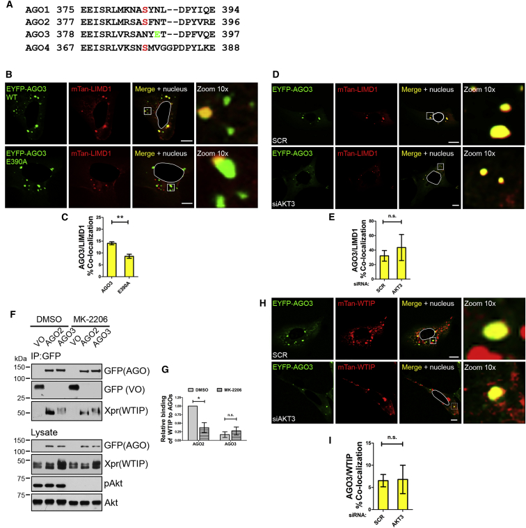 Figure 6