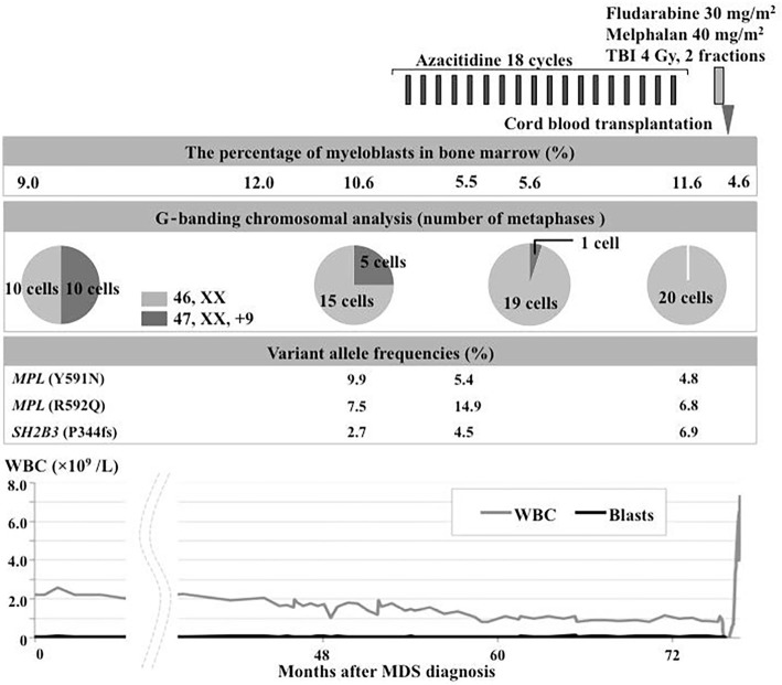 Figure 3.