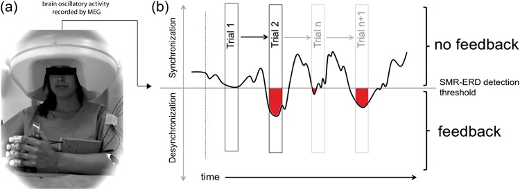 Figure 2.