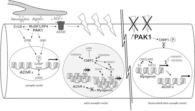 FIG 8