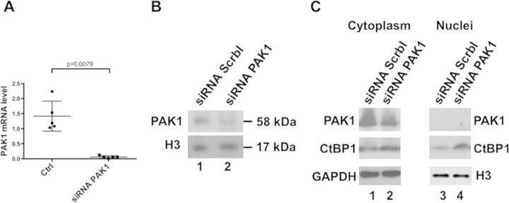 FIG 5