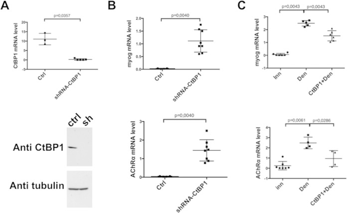 FIG 2