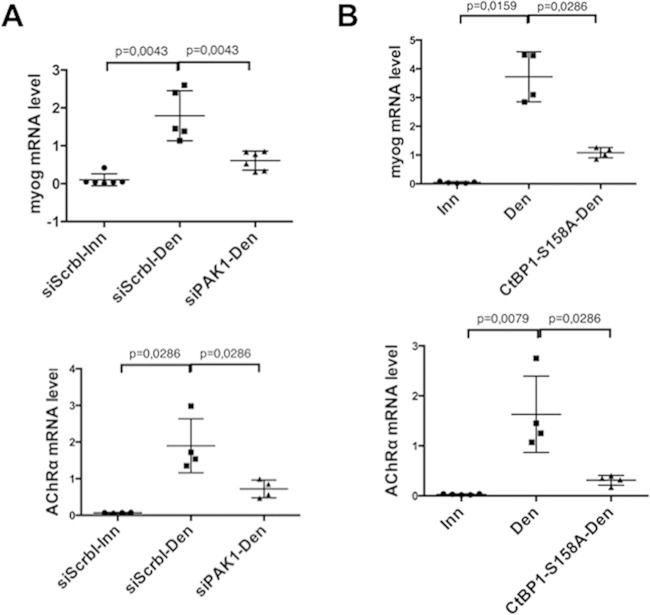 FIG 6