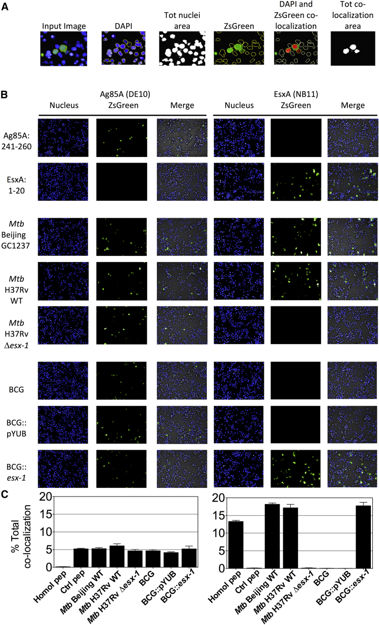 Figure 3