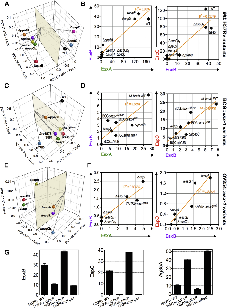 Figure 5