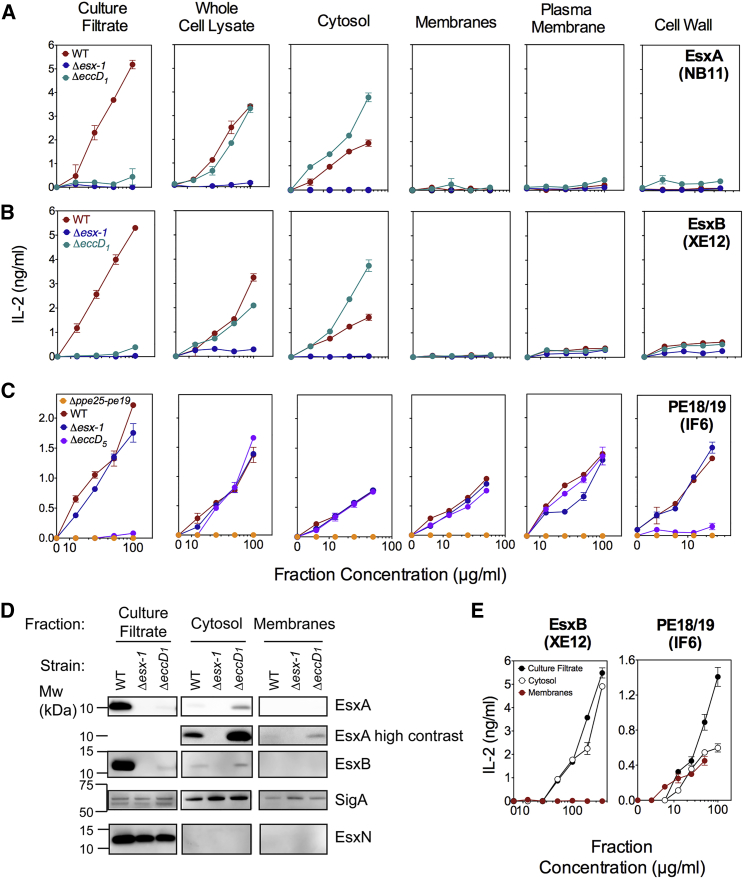 Figure 2