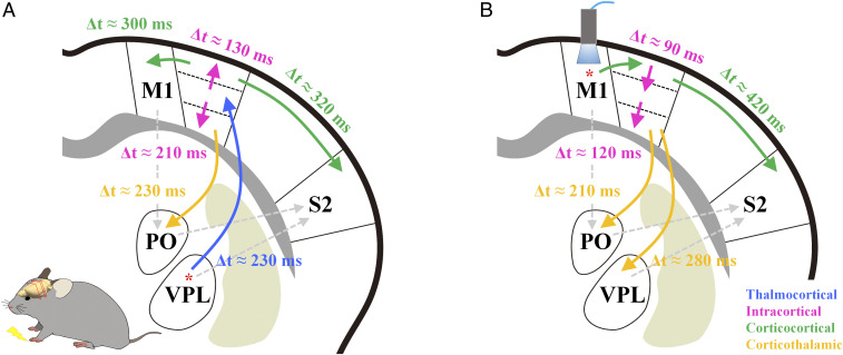 Fig. 4.