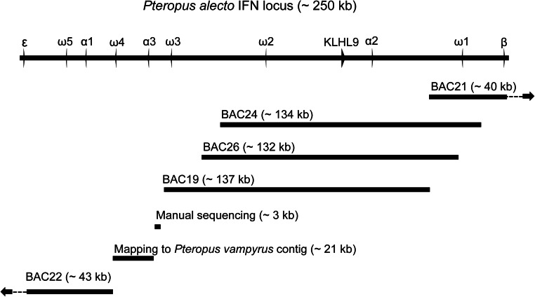 Fig. S1.