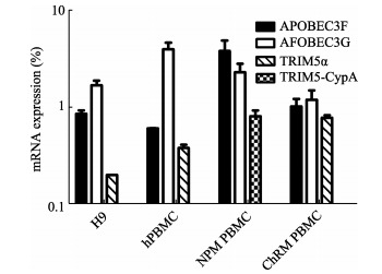 mRNA expression levels of human and macaque cells normalized to GAPDH and RPL13A mRNA using the 2<sup>-ΔCt</sup>× 100% method, respectively; Mean values of PBMCs isolations from three healthy donors are shown, and error bars represent standard errors of the means. hPBMC: human PBMCs; NPM: <italic>M.leonina</italic>; ChRM: Chinese rhesus macaque.