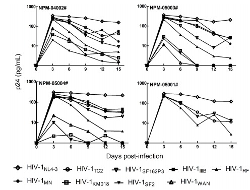 Infections of four different macaque donors are shown; Experiments were carried out with equal amounts of viruses (40 pg p24); Replication was monitored by determining the amount of p24 in culture supernatants every three days post-infection. NPM: northern pig-tailed macaque (<italic>M. leonina</italic>)