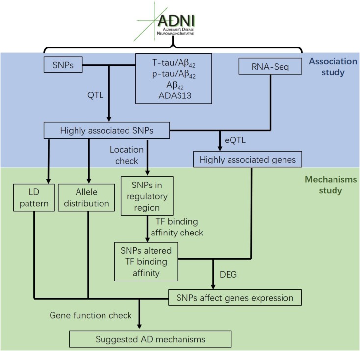 FIGURE 1