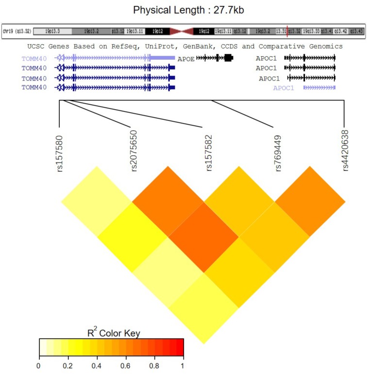 FIGURE 3