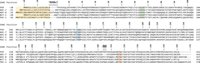 FIG 1