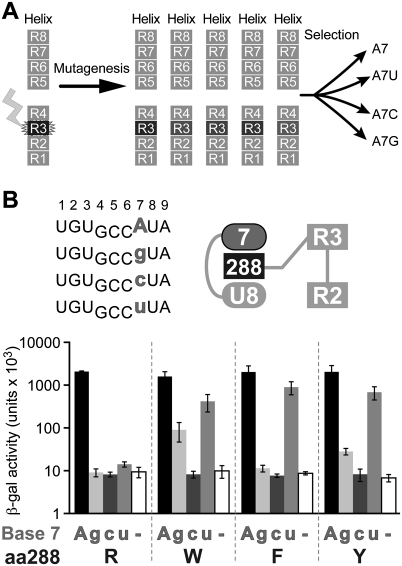 FIGURE 4.