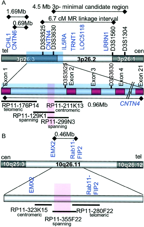 Figure  3