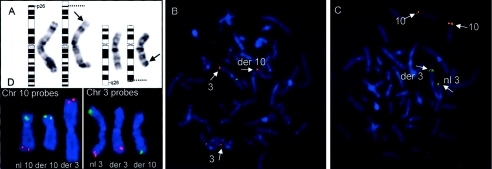 Figure  2