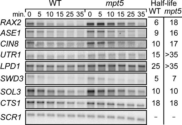 FIGURE 4.