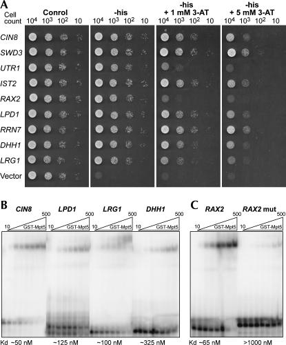 FIGURE 2.