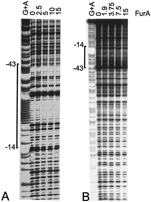 FIG. 5.