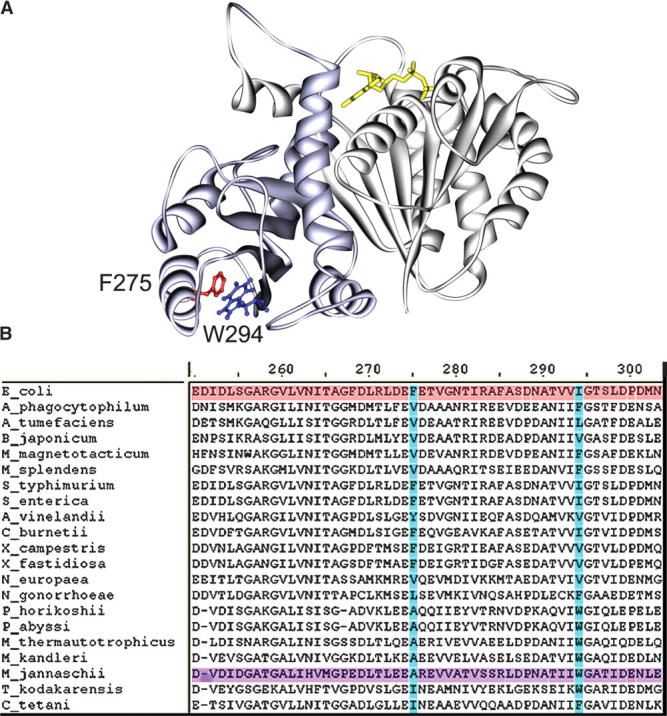 Figure 6.