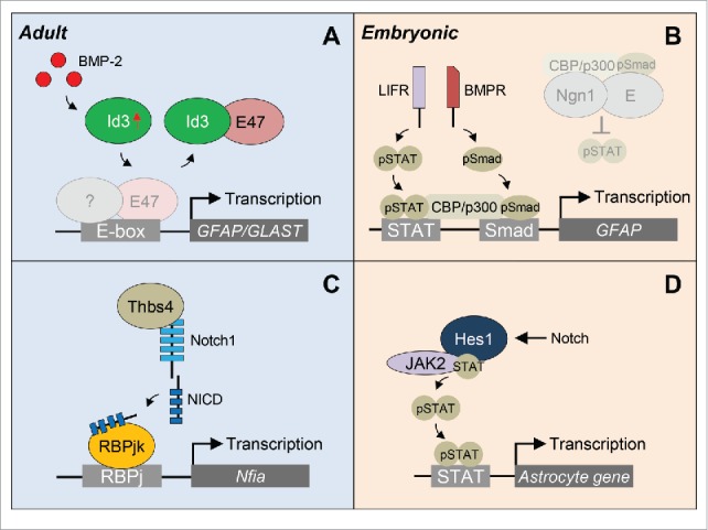 Figure 3.