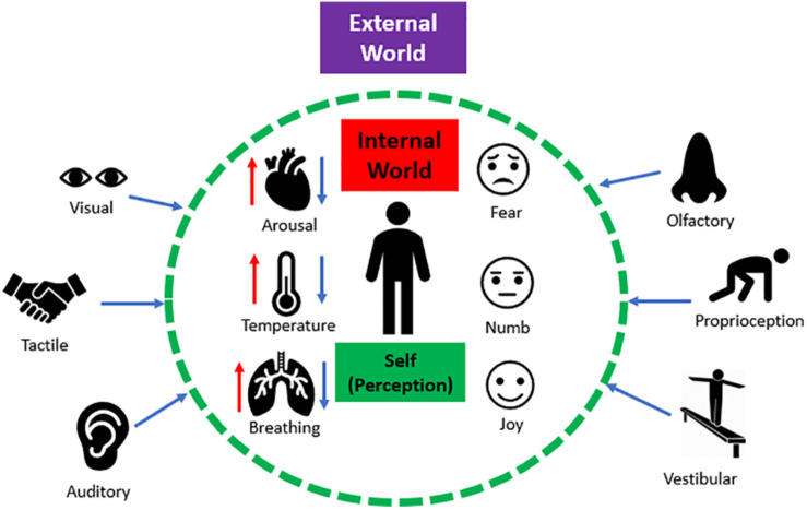 FIGURE 1