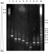 FIG. 5