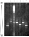 FIG. 6