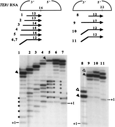 FIG. 6