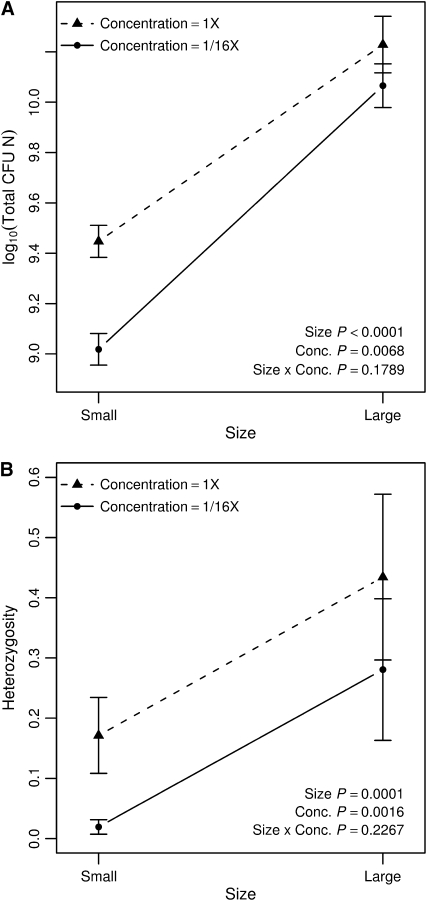 Figure 3.—