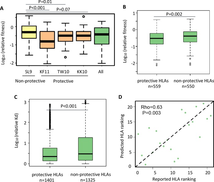 FIG 3 