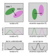 Figure 4—figure supplement 1.