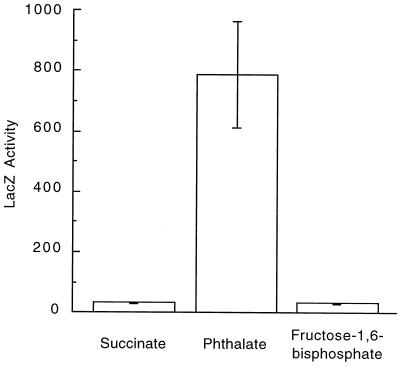 FIG. 6