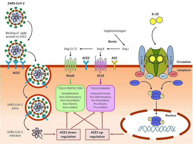 Figure 2