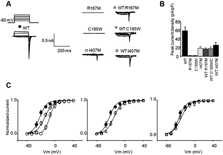 Figure 4