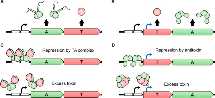 FIG 3