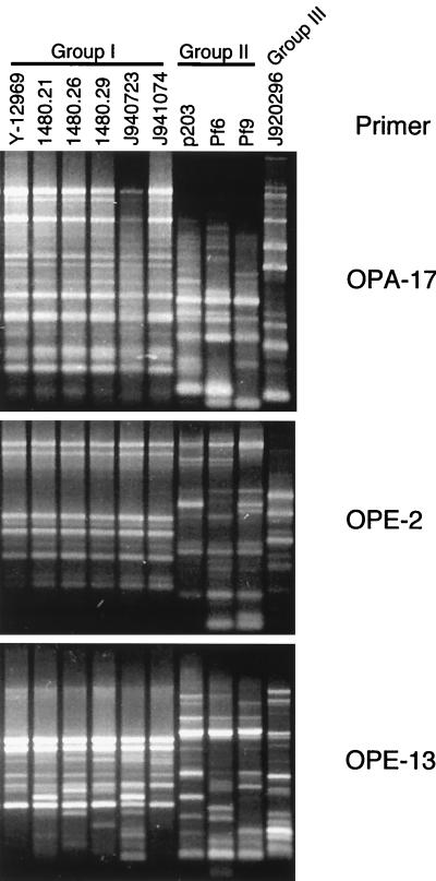 FIG. 7