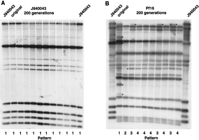 FIG. 10