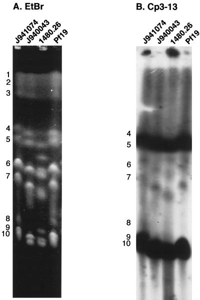 FIG. 3