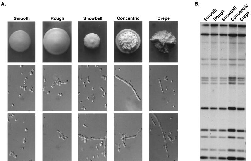 FIG. 11