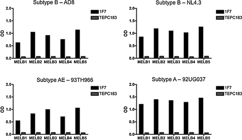 FIG. 2.