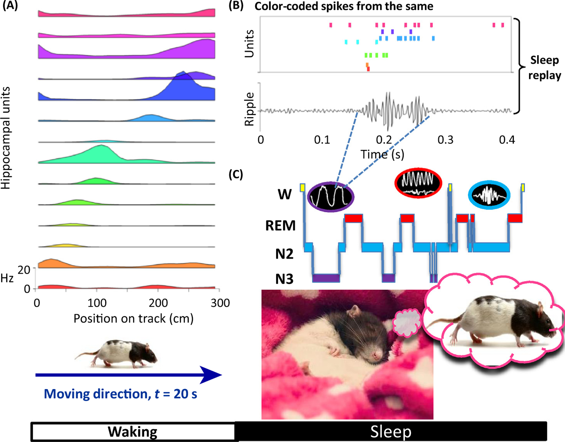 Figure 2.