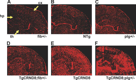 Figure 6.