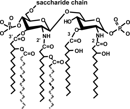 FIG. 1.