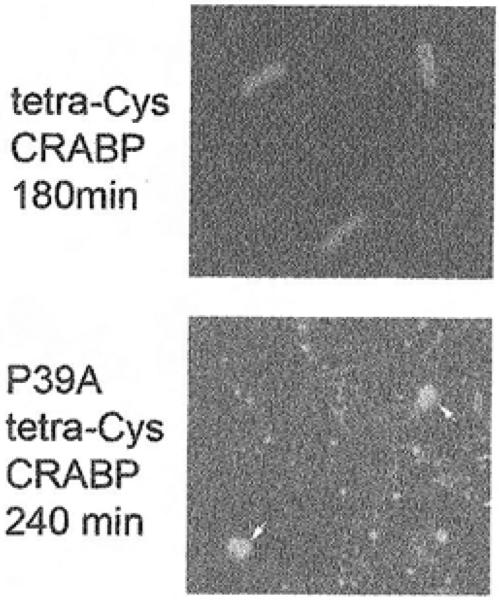 Fig. 7.3