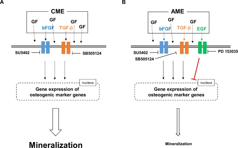 Fig 10