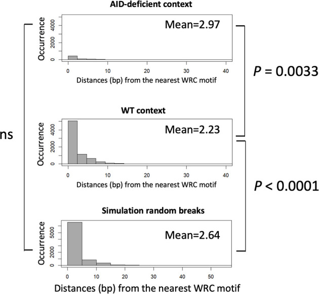 Figure 4